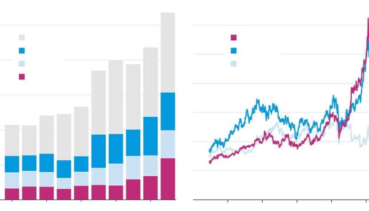 A 50-year-old mountain giant with no cyber experience is an unlikely candidate in India's race for semi-independence