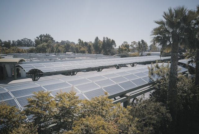The Bright Future of Organic Solar Cells